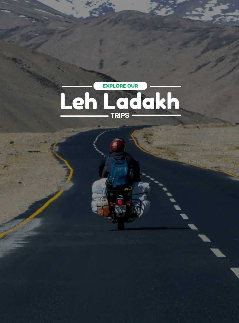 Leh Ladakh | Travelinq Experience