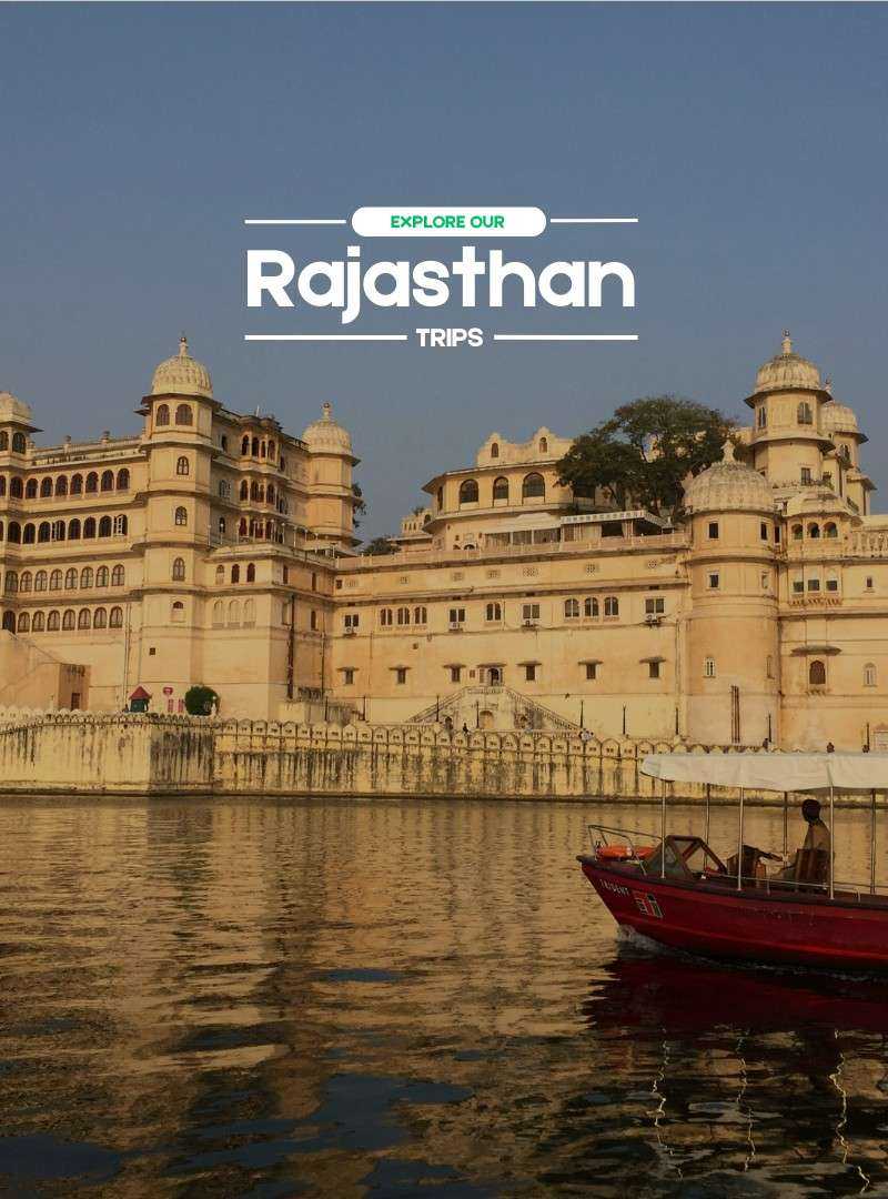 Rajasthan Trips | Travelinq Experience