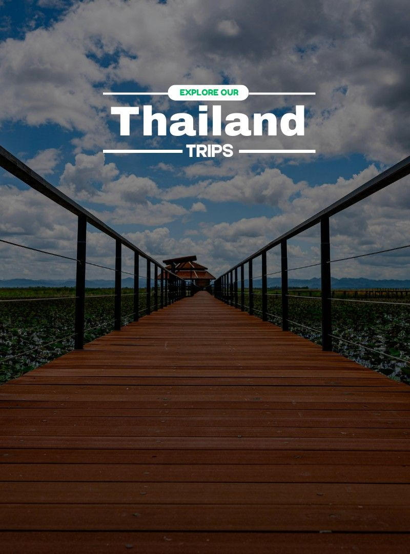Thailand | Travelinq Experience
