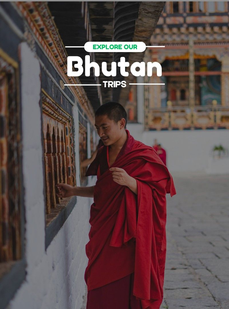 Bhutan | Travelinq Experience