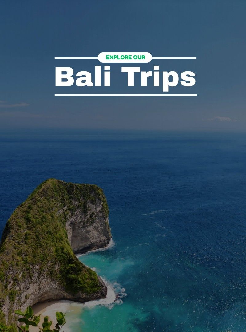 Bali | Travelinq Experience