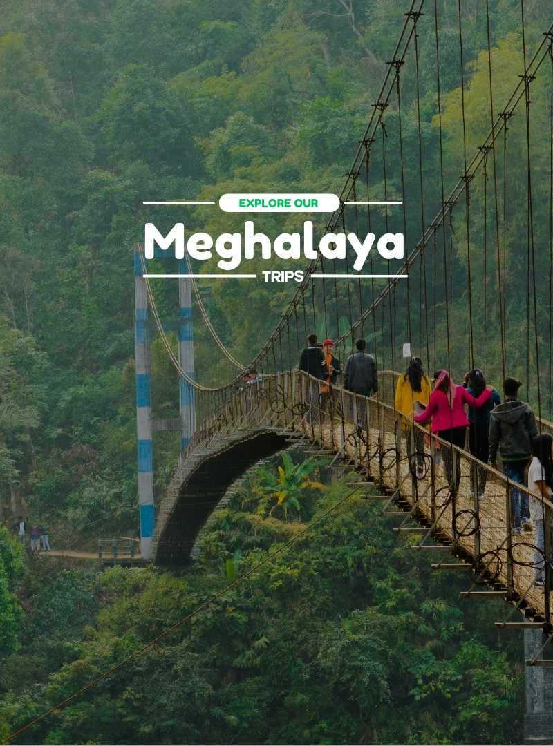 Meghalaya Trips | Travelinq Experience