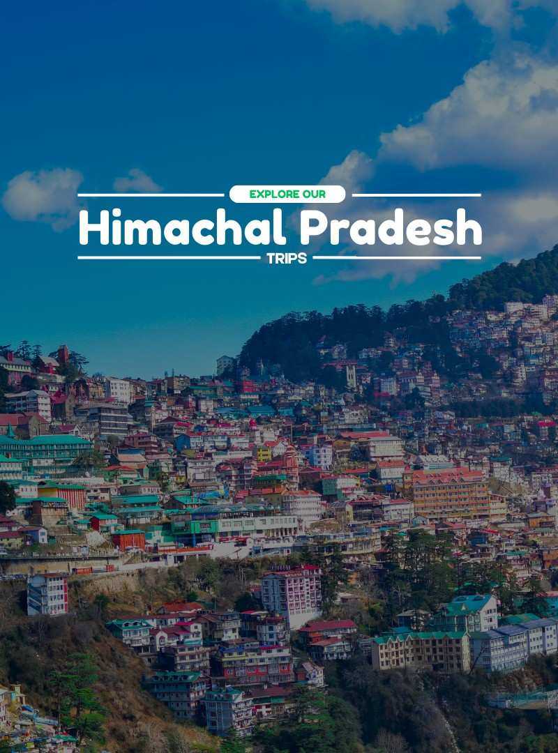 Himachal Trips | Travelinq Experience