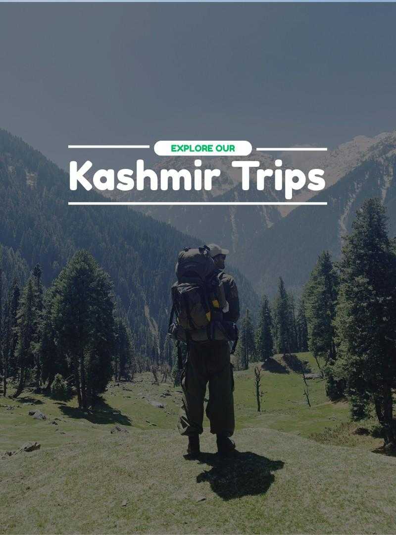 Kashmir Trips | Travelinq Experience