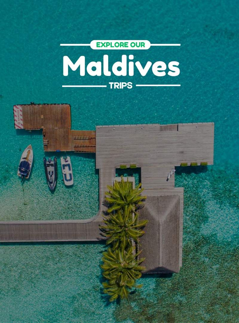 Maldives | Travelinq Experience