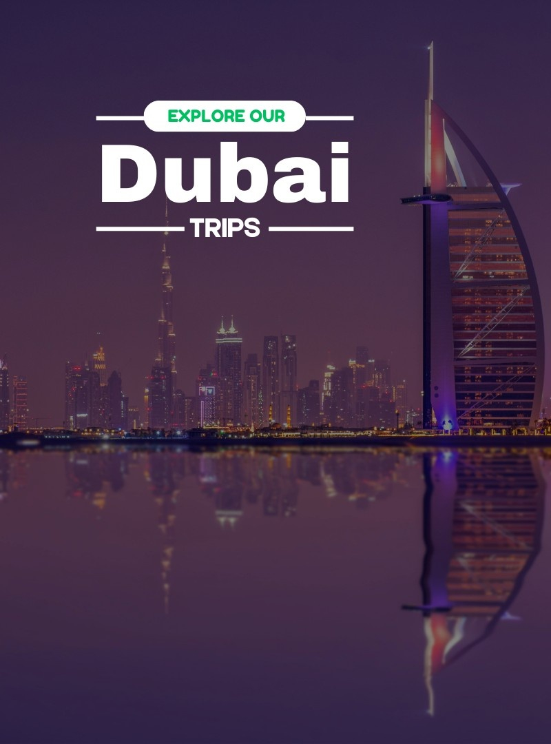 Dubai | Travelinq Experience